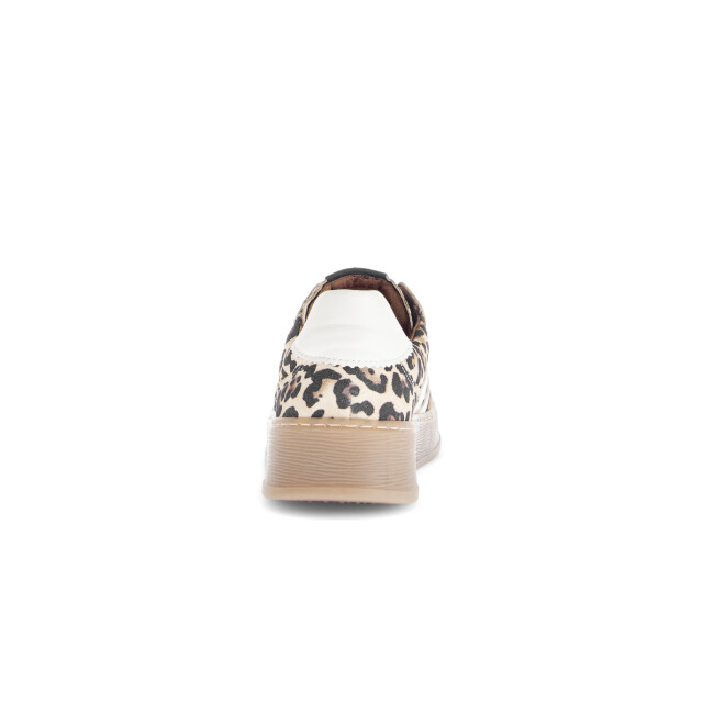 Gabor 76.475.90 Sneakers Print / Multi 76.475.90 large