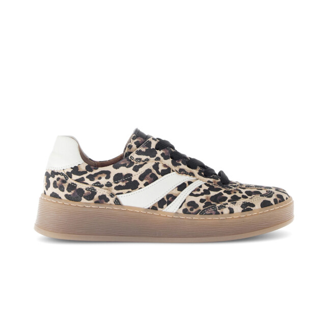 Gabor 76.475.90 Sneakers Print / Multi 76.475.90 large