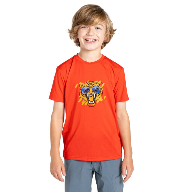 Dare2b Kinderen/kinderen amuse ii tijger t-shirt UTRG11898_sevillered large