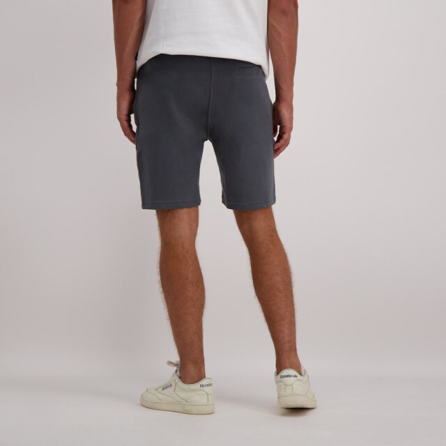 Cars braga short 40595 17 antra 05413.991.0007 large