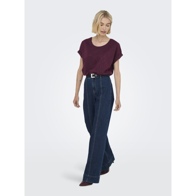 Only Onlmoster glitter ss top jrs wijn 4339.43.0014 large