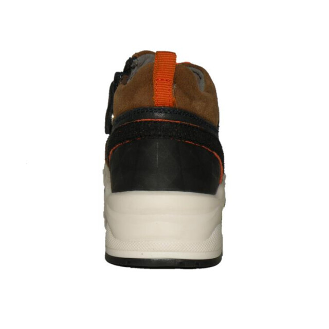 Gattino G1928 G1928 large