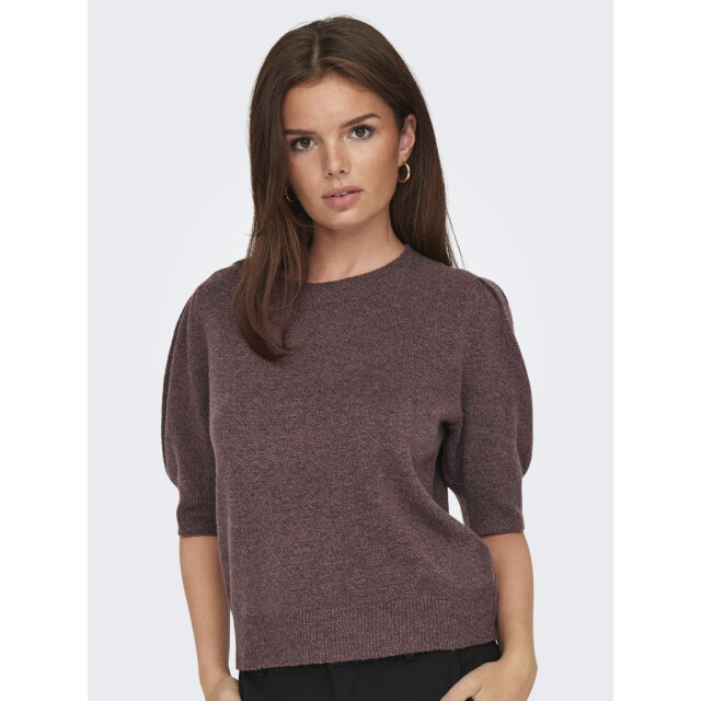 Only Onlrica life 24 pullover knt noos bordeaux 4219.47.0005 large