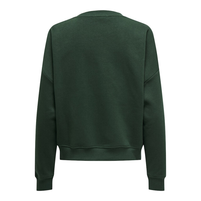Only onlsweat life l/s crew o.size state 15254183 pine grove manhattan 06721.369.0002 large