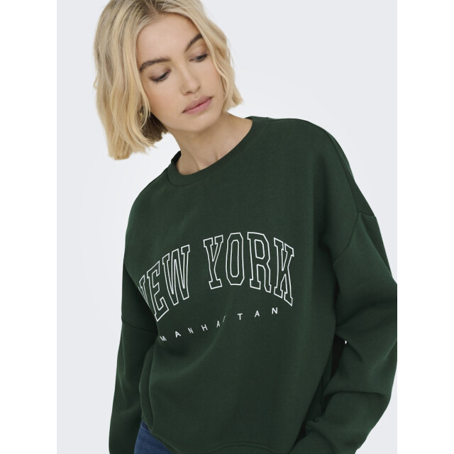 Only Onlsweat life ls crew o.size state noos donker 4209.27.0002 large