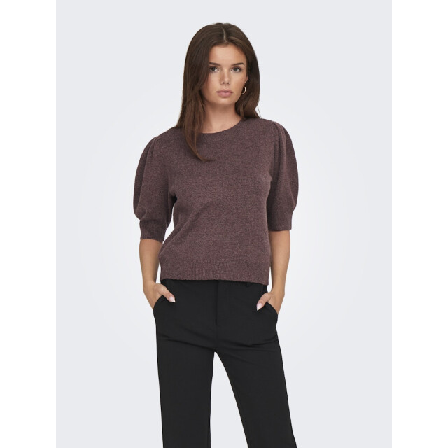 Only Onlrica life 24 pullover knt noos bordeaux 4219.47.0005 large