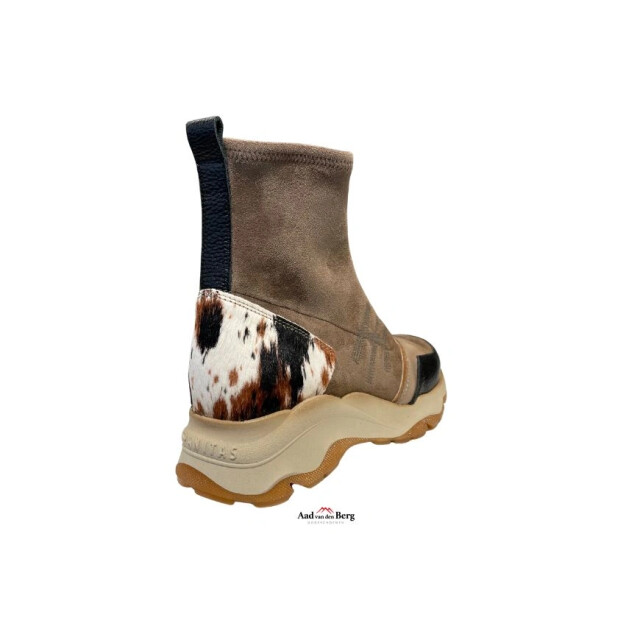 Hispanitas Damesschoenen enkellaarsjes ZHI254364 Nepal large