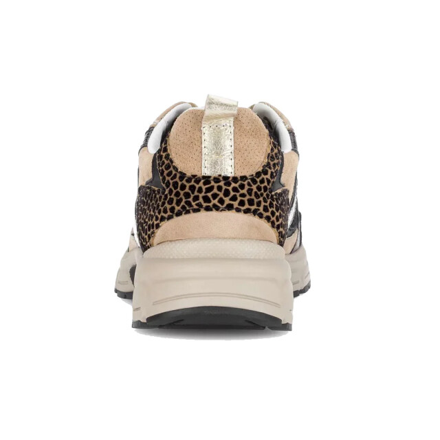 Gabor 76.536.34 Sneakers Print / Multi 76.536.34 large