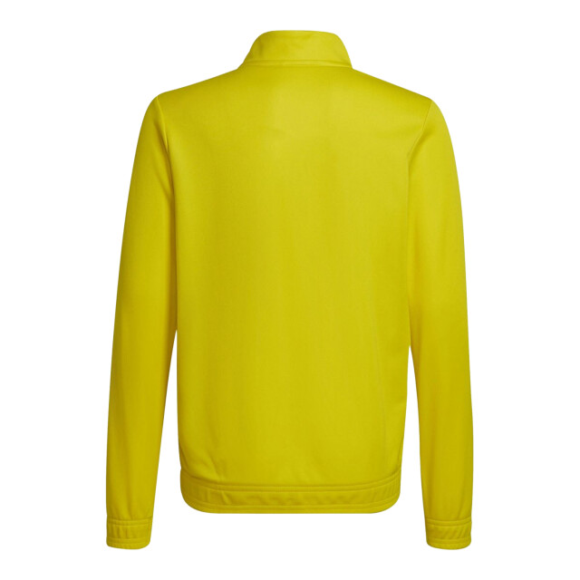 Adidas Kinder/kinder entrada 22 track jacket UTPP482_yellow large