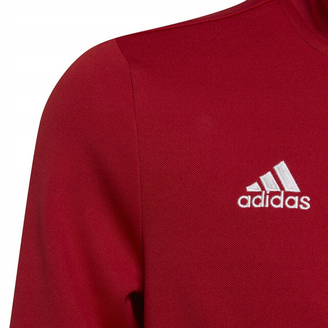 Adidas Kinder/kinder entrada 22 jas UTPP4667_red large