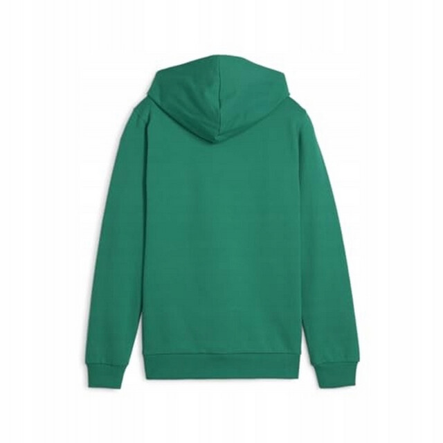 Puma Kinder/kids team goal casuals hoodie UTPP4643_green large