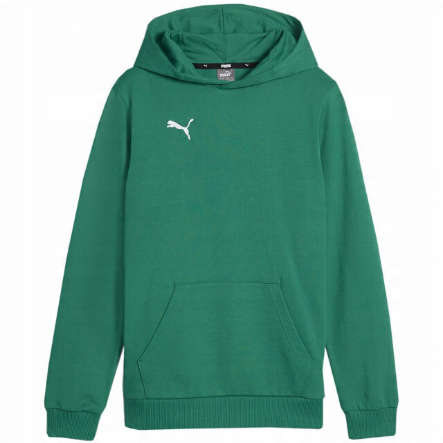 Puma Kinder/kids team goal casuals hoodie UTPP4643_green large