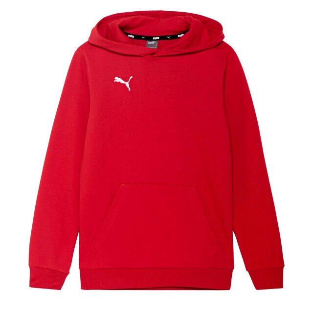 Puma Kinder/kids team goal casuals hoodie UTPP4643_red large