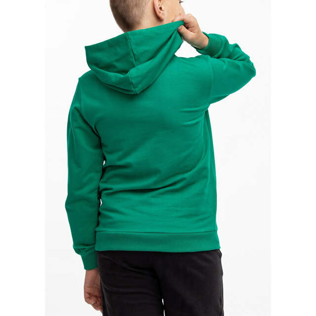 Puma Kinder/kids team goal casuals hoodie UTPP4643_green large