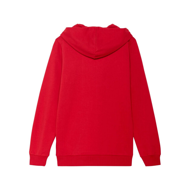 Puma Kinder/kids team goal casuals hoodie UTPP4643_red large