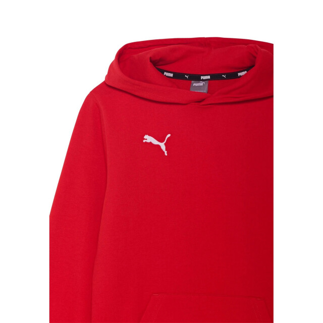 Puma Kinder/kids team goal casuals hoodie UTPP4643_red large