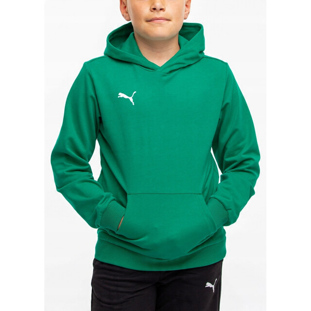 Puma Kinder/kids team goal casuals hoodie UTPP4643_green large