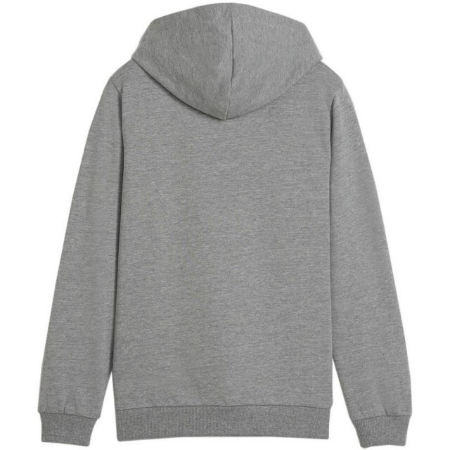 Puma Kinder/kids team goal casuals hoodie UTPP4643_greysilver large