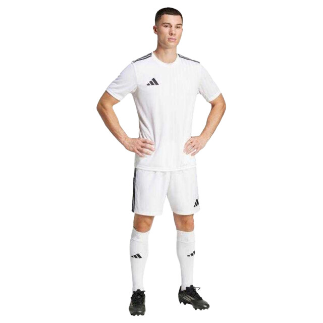 Adidas Heren campeon 25 trui UTPP4411_white large