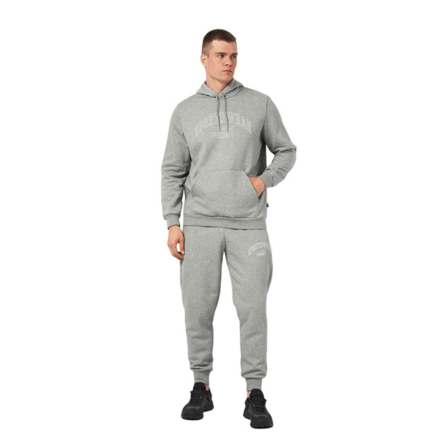 Puma Dames ess+ lab gradient logo hoodie UTPP4202_greysilver large