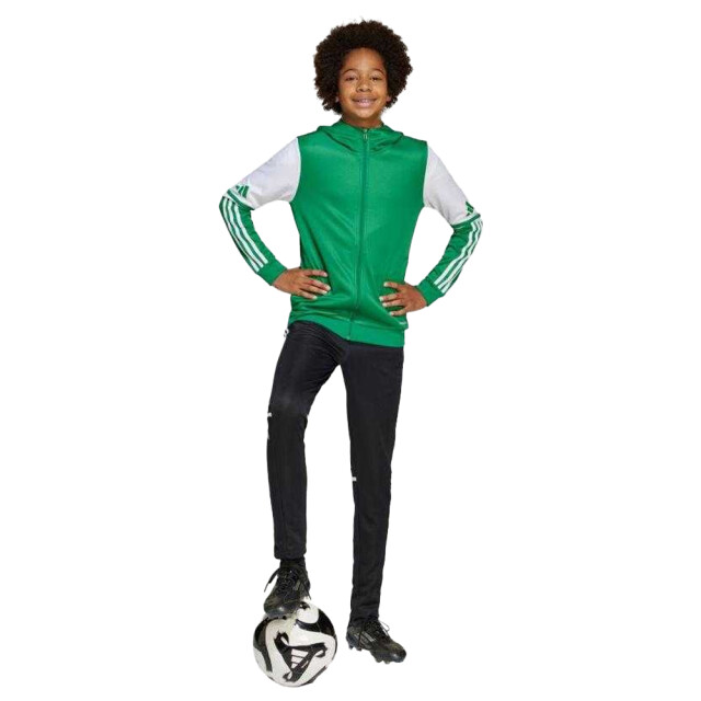 Adidas Kinder squadra 25 full zip hoodie UTPP4186_whitegreen large