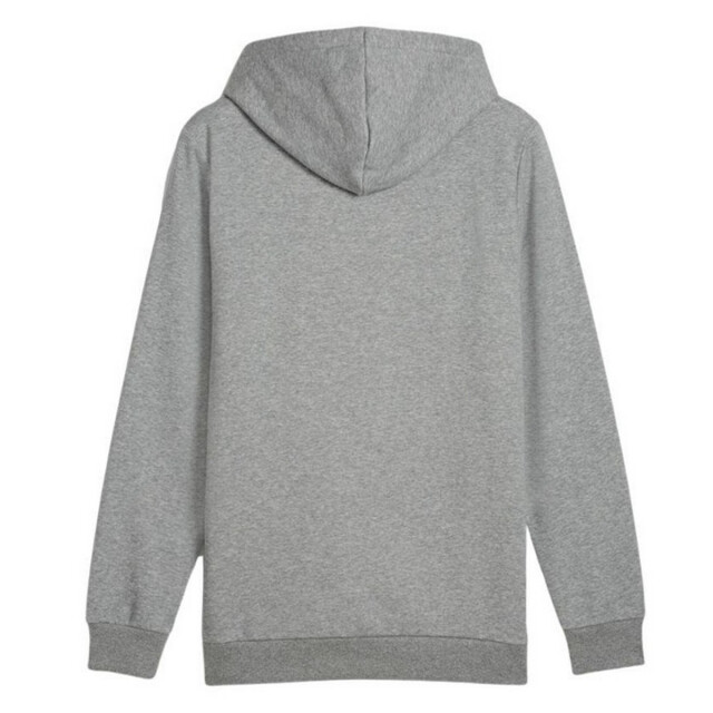 Puma Dames ess+ lab gradient logo hoodie UTPP4202_greysilver large