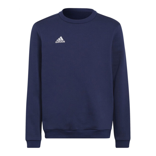 Adidas Kinderen/kinderen entrada 22 hoodie UTPP4104_navyblue large