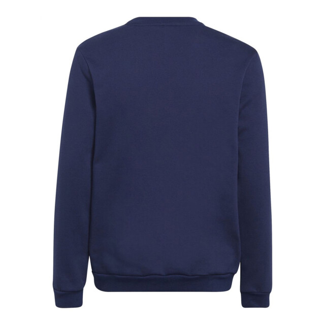 Adidas Kinderen/kinderen entrada 22 hoodie UTPP4104_navyblue large