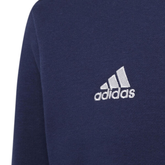 Adidas Kinderen/kinderen entrada 22 hoodie UTPP4104_navyblue large