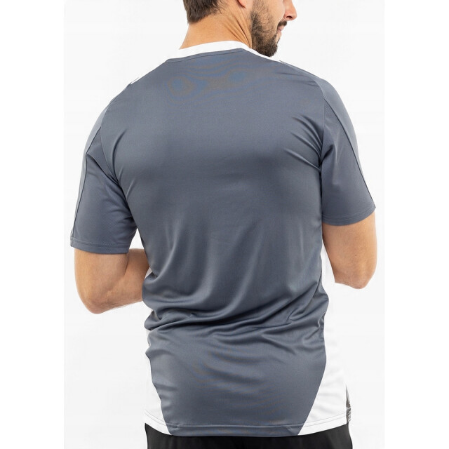 Adidas Heren tiro 24 wedstrijd-t-shirt UTPP3600_whitegrey large