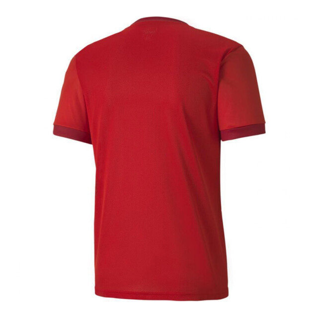 Puma Heren teamgoal 23 jersey UTPP3370_red large