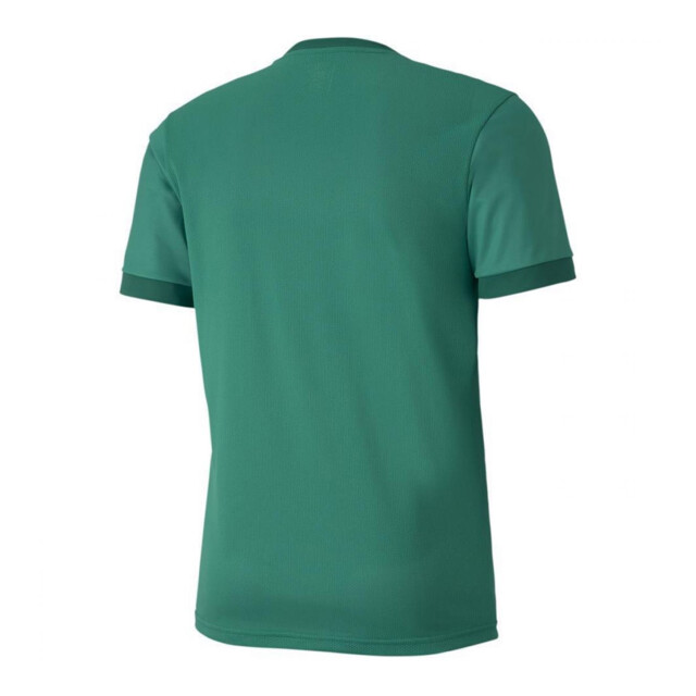 Puma Heren teamgoal 23 jersey UTPP3370_green large