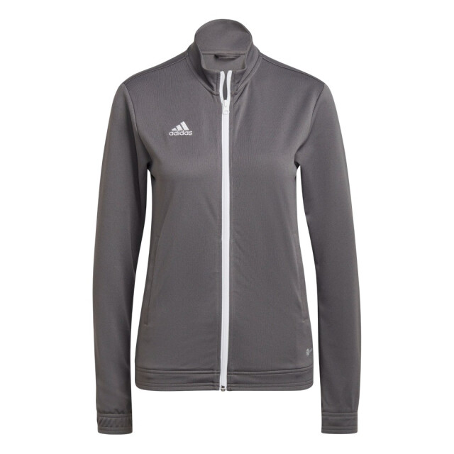 Adidas Dames entrada 22 track jacket UTPP326_grey large