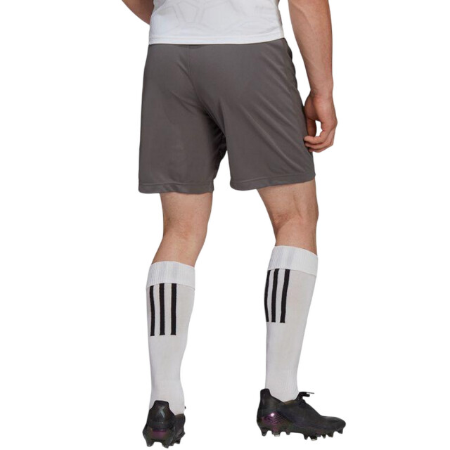 Adidas Dames entrada 22 korte broek UTPP3177_grey large