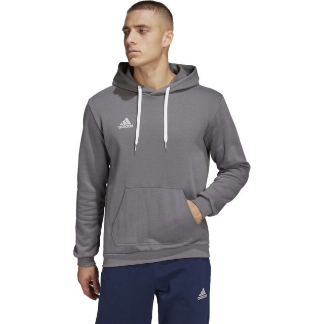 Adidas Heren entrada 22 hoodie UTPP2776_greysilver large