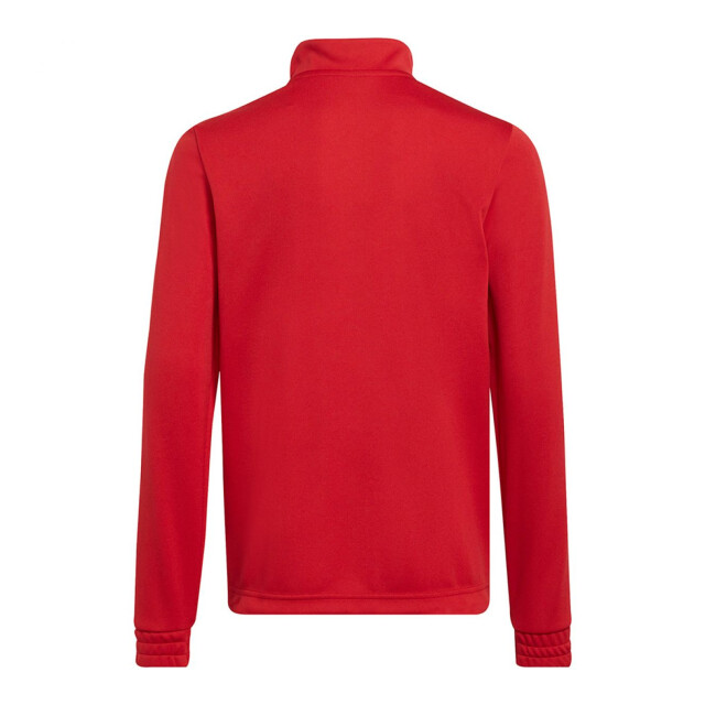 Adidas Kinder/kids entrada 22 trainings top UTPP2603_red large
