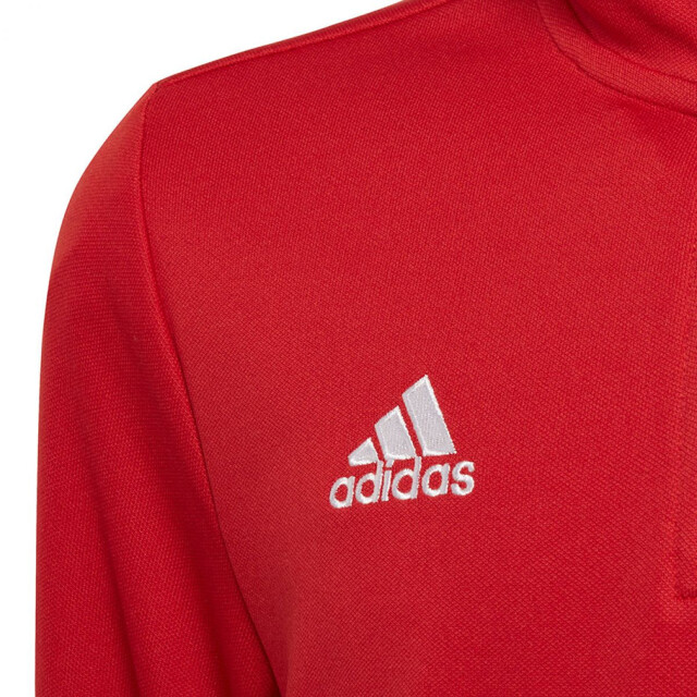 Adidas Kinder/kids entrada 22 trainings top UTPP2603_red large