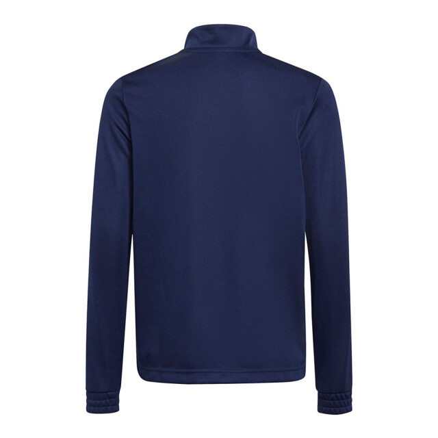 Adidas Kinder/kids entrada 22 trainings top UTPP2603_navyblue large