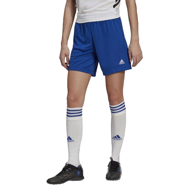 Adidas Dames entrada 22 korte broek UTPP2441_blue large