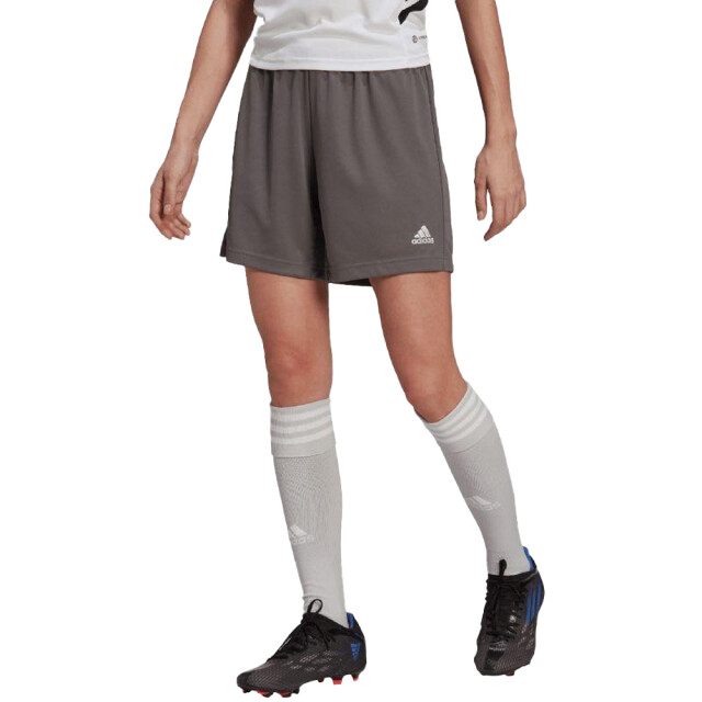 Adidas Dames entrada 22 korte broek UTPP2441_grey large