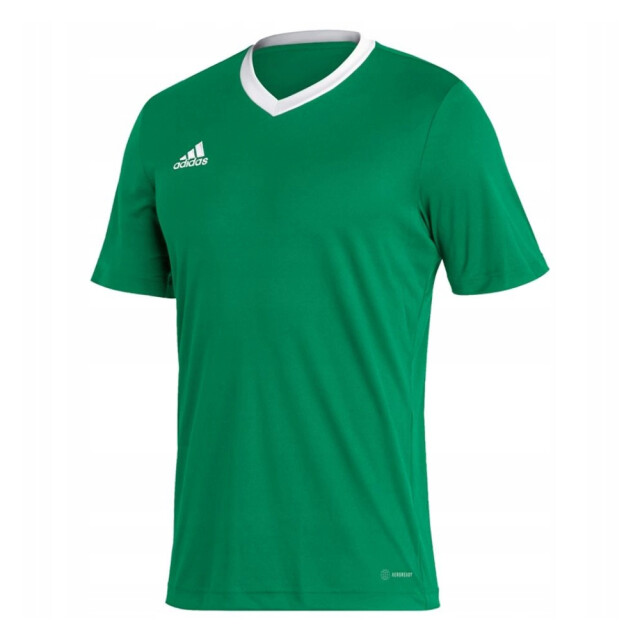 Adidas Heren entrada 22 jersey UTPP2399_green large