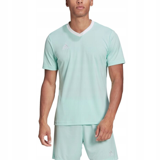 Adidas Heren entrada 22 jersey UTPP2399_lightturquoise large