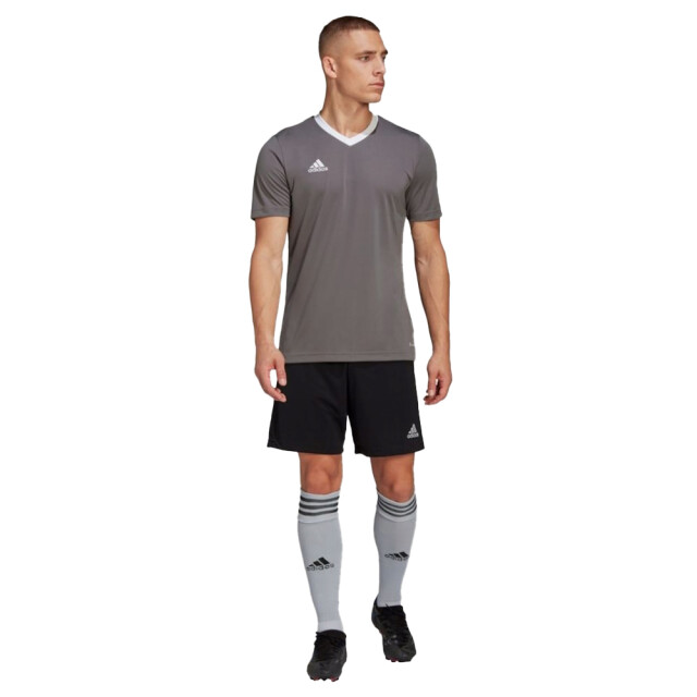 Adidas Heren entrada 22 jersey UTPP2399_greysilver large
