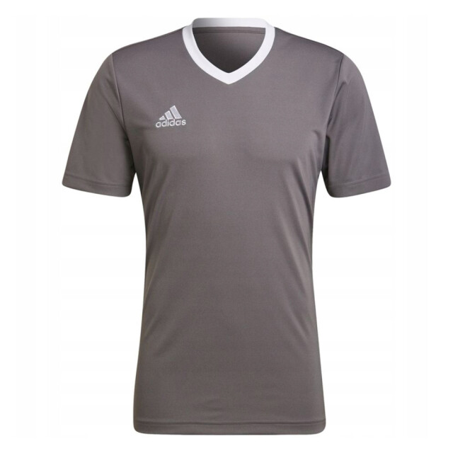 Adidas Heren entrada 22 jersey UTPP2399_greysilver large