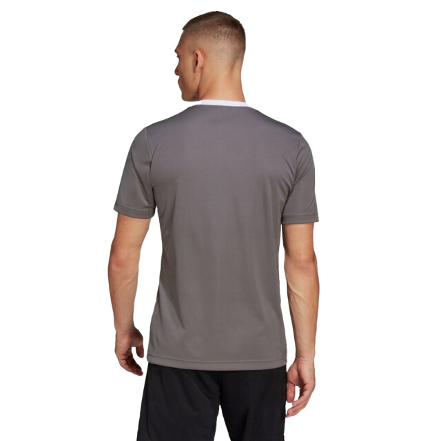Adidas Heren entrada 22 jersey UTPP2399_greysilver large