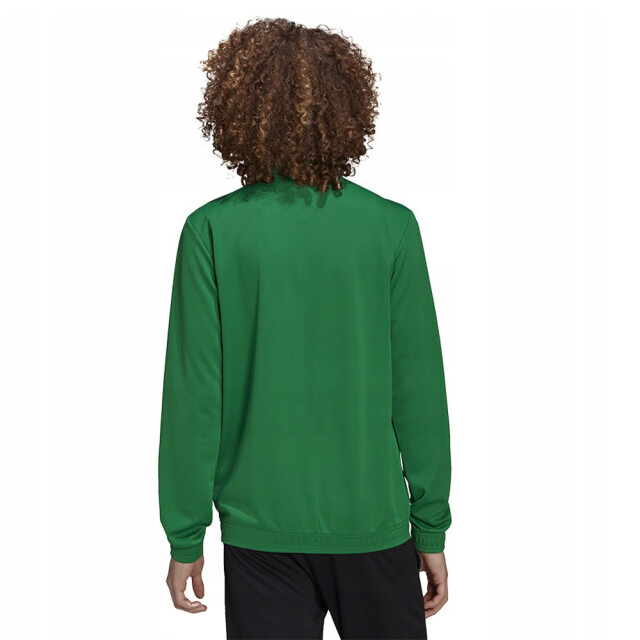 Adidas Heren entrada 22 track jacket UTPP2385_green large