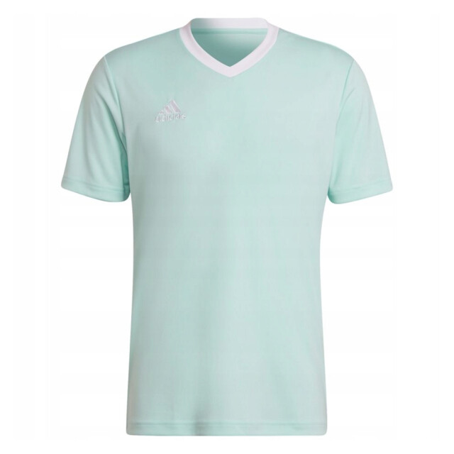 Adidas Heren entrada 22 jersey UTPP2399_lightturquoise large