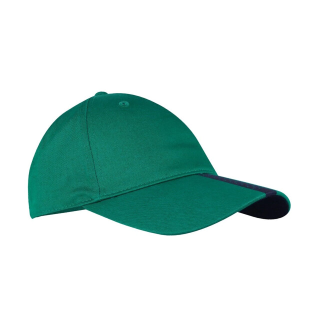 Puma Liga baseballpet UTPP238_green large