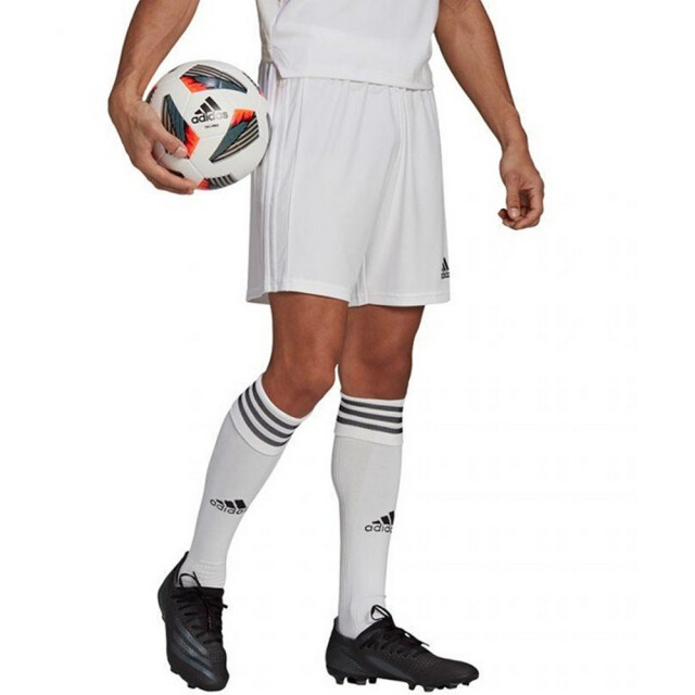 Adidas Heren squadra 21 korte broek UTPP2228_white large
