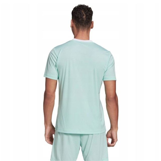 Adidas Heren entrada 22 jersey UTPP2399_lightturquoise large